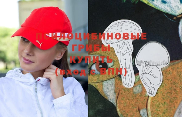МДПВ Алзамай