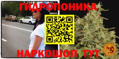 СК Нягань