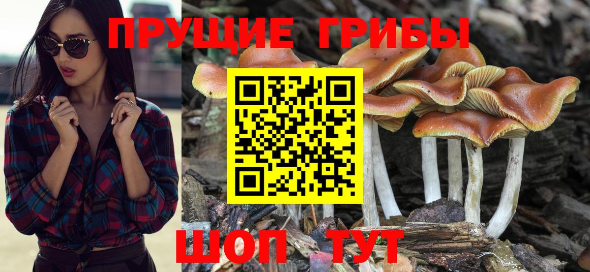 Галлюциногенные грибы Magic Shrooms  Вход с VPN  Чапаевск 